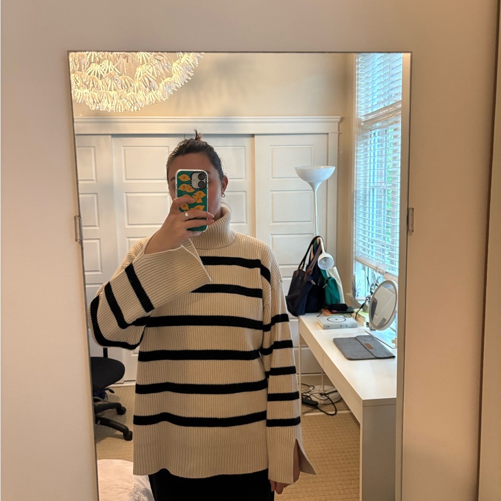 Zara Ribbed Turtleneck Sweater